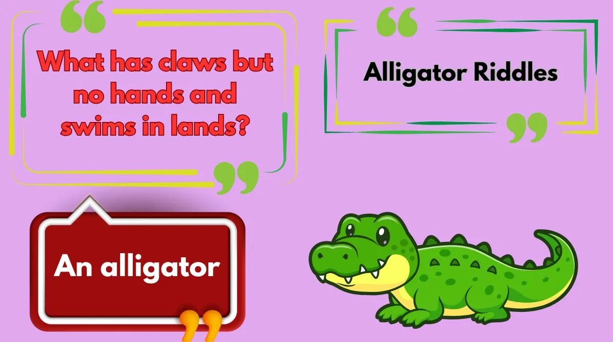 Alligator Riddles