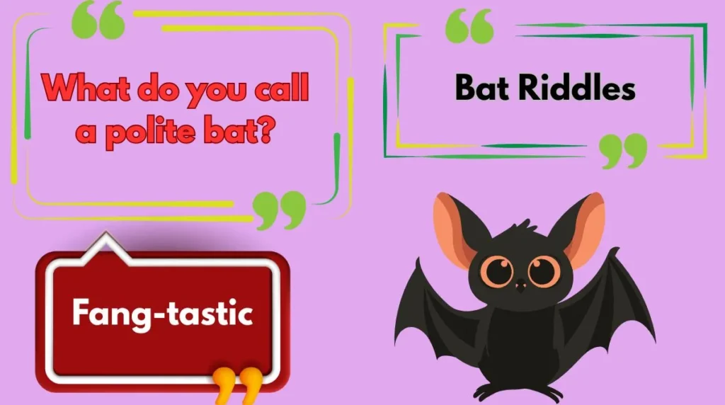 Bat Riddles