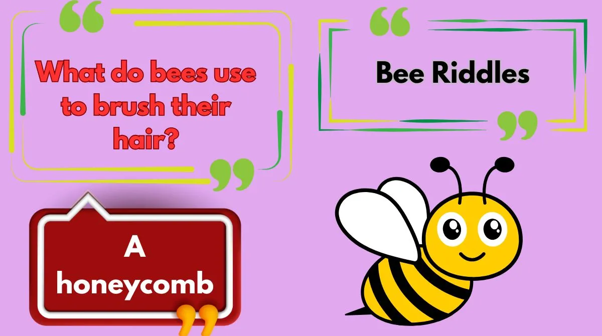 Bee Riddles