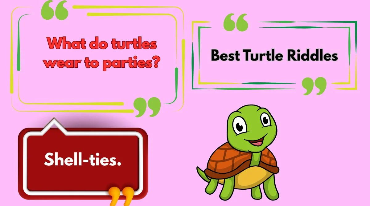 Best Turtle Riddles