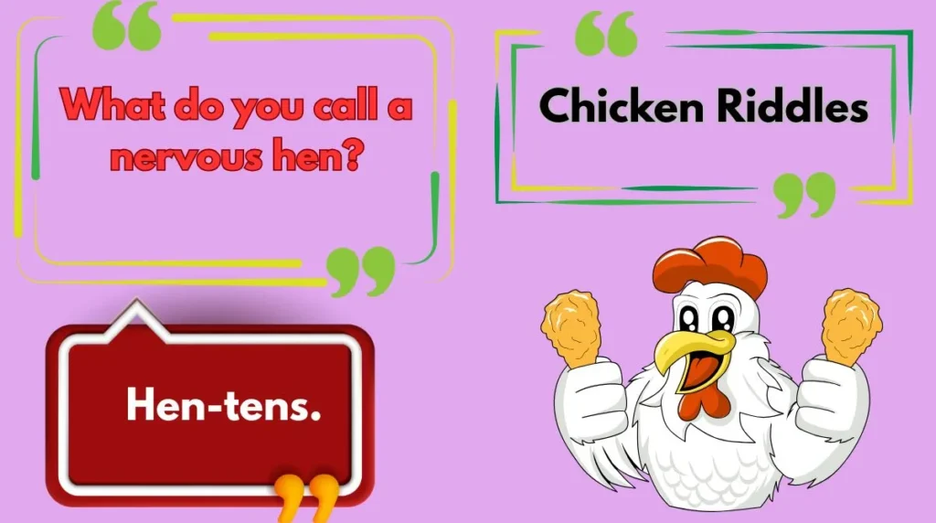 Chicken Riddles