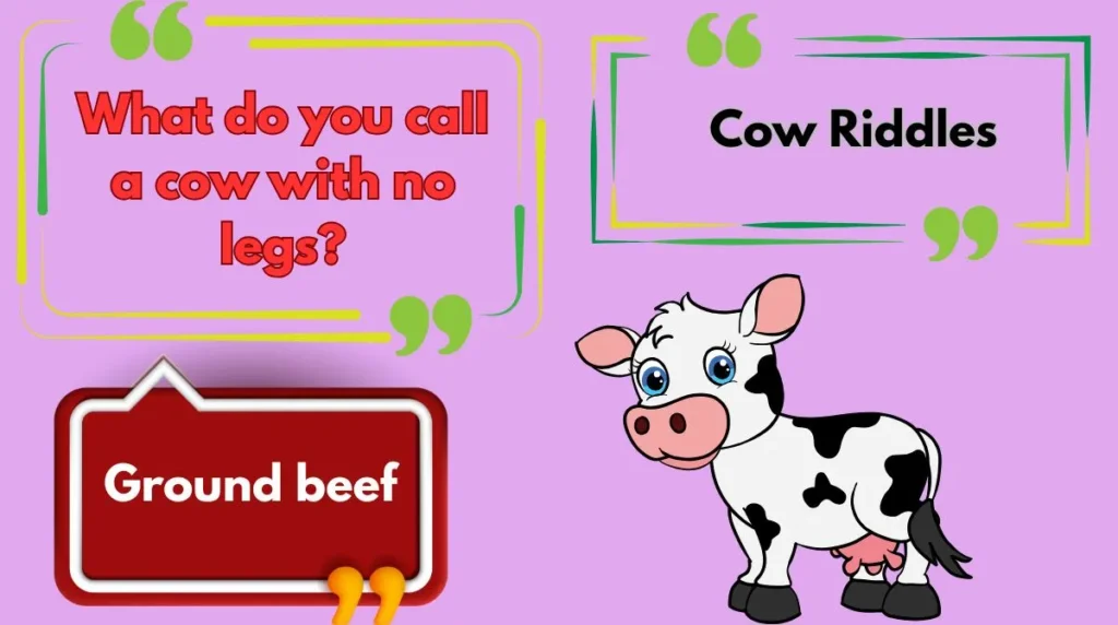 Cow Riddles