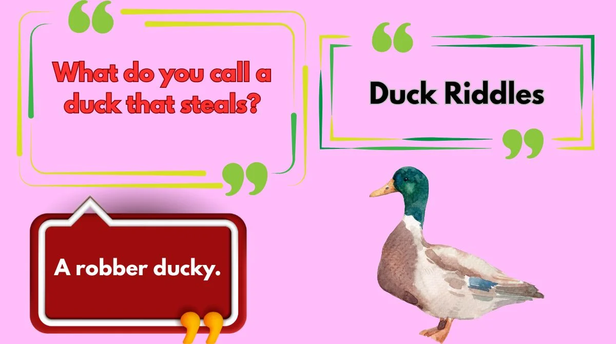 Duck Riddles
