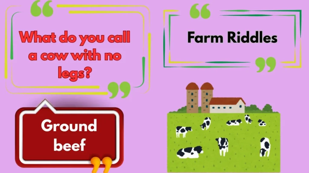 Farm Riddles