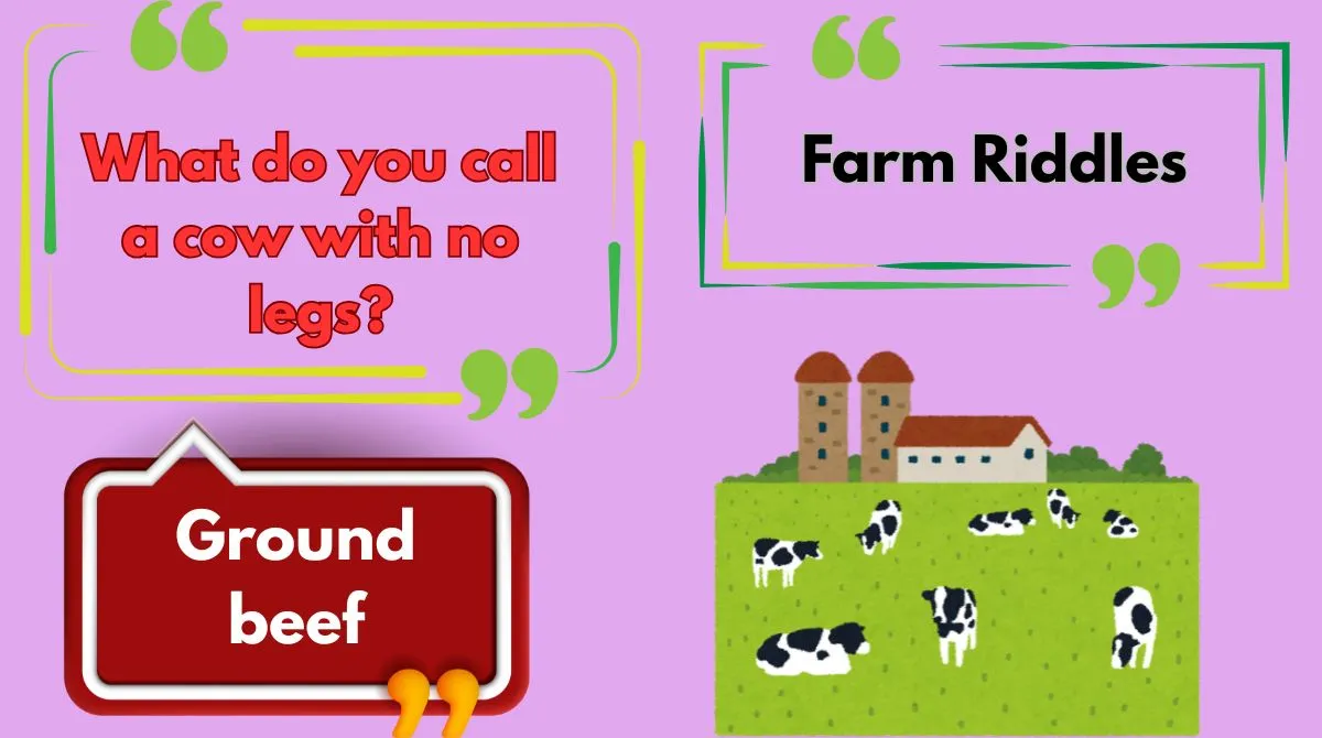Farm Riddles