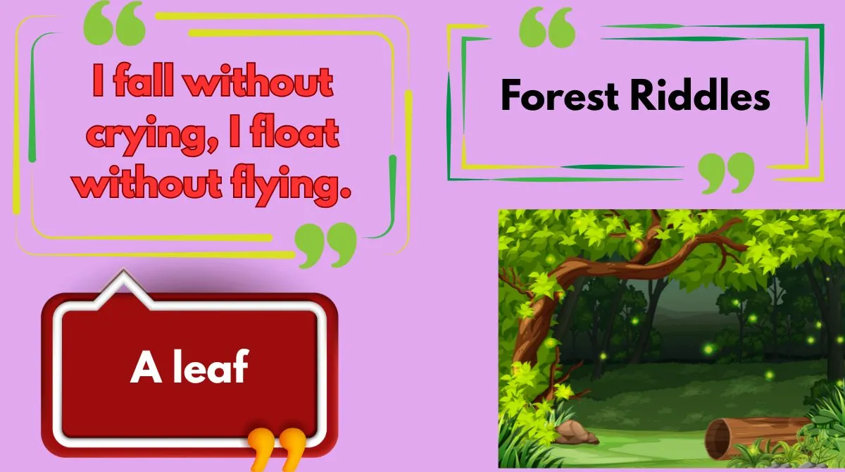 Forest Riddles