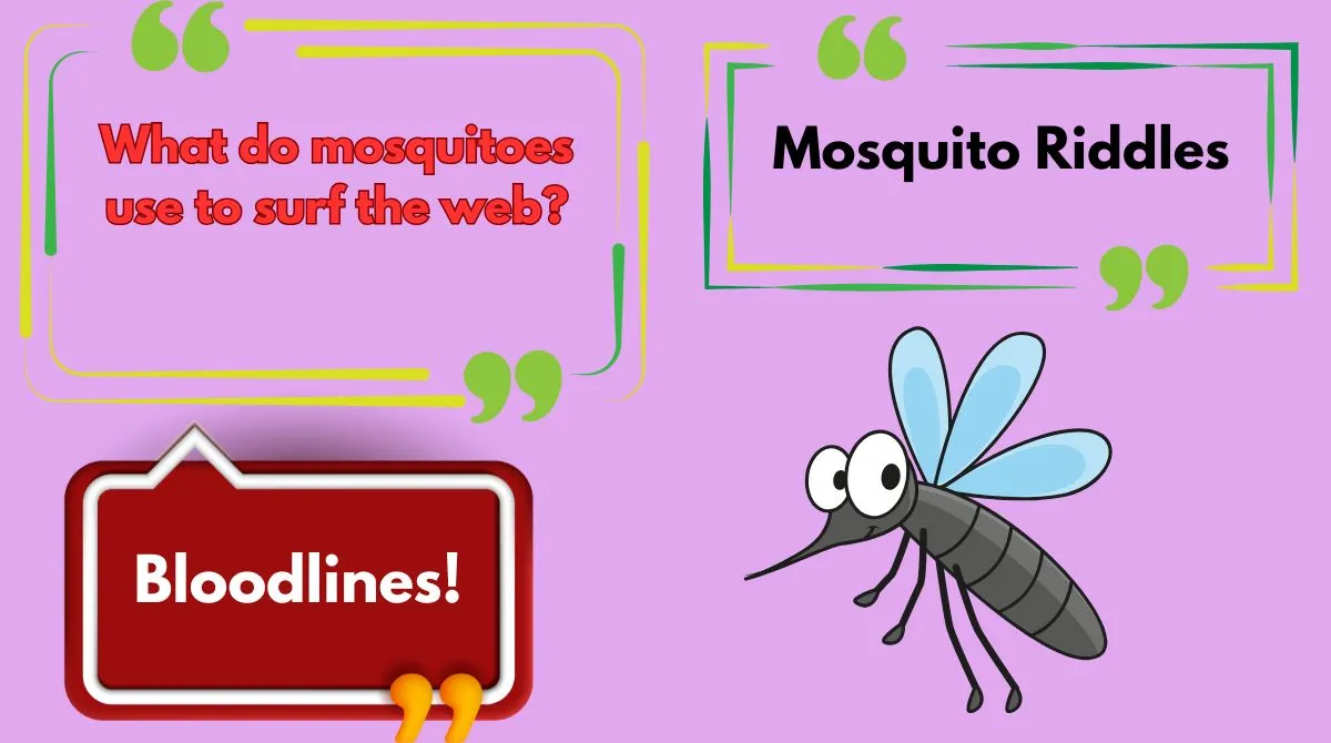 Mosquito Riddles