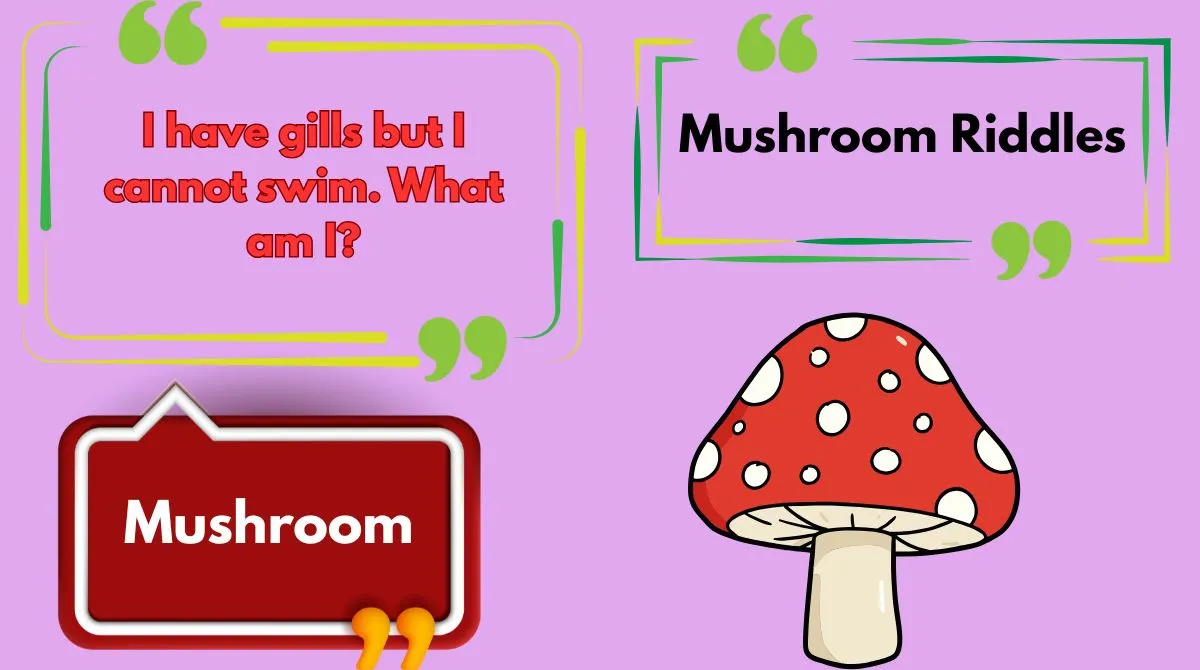 Mushroom Riddles