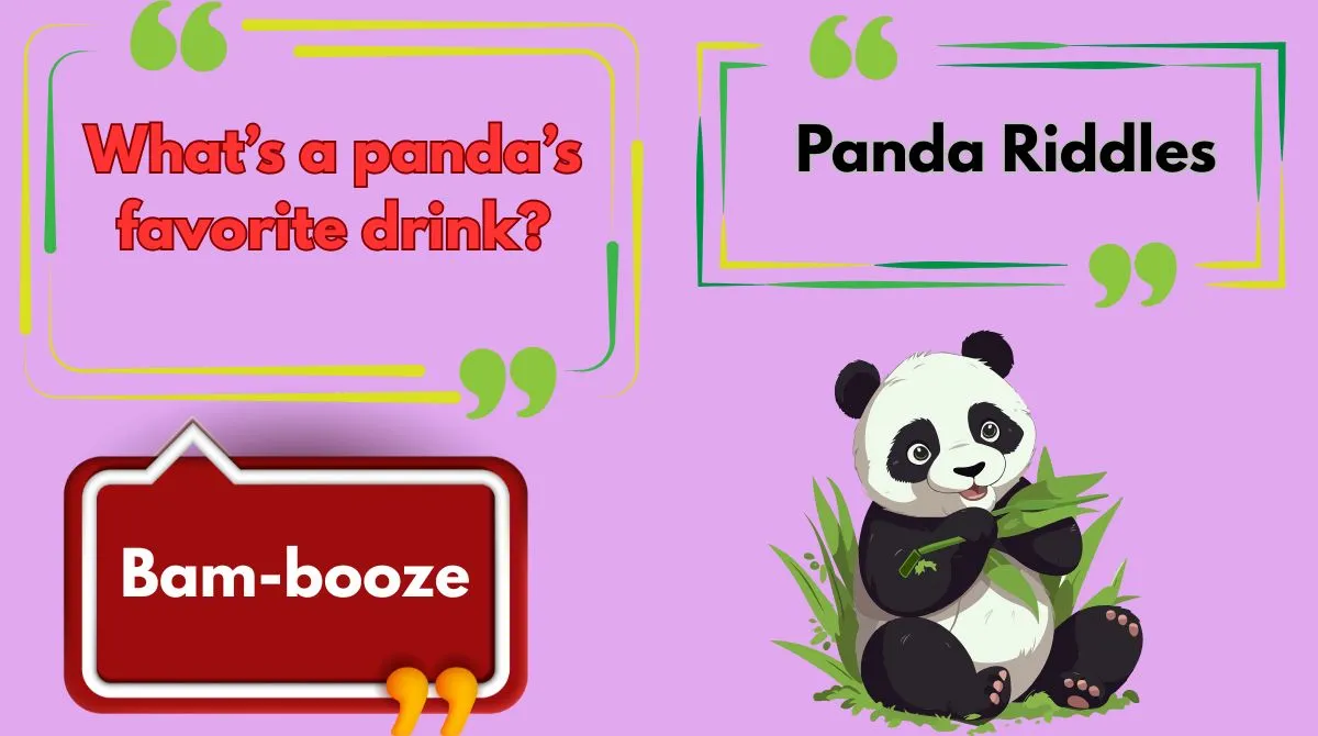 Panda Riddles