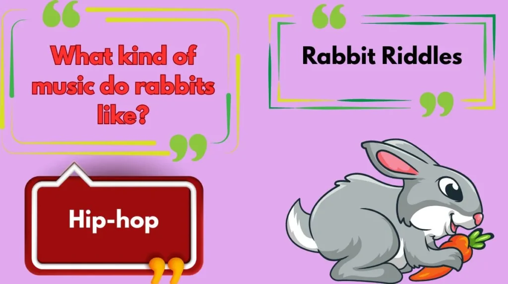 Rabbit Riddles