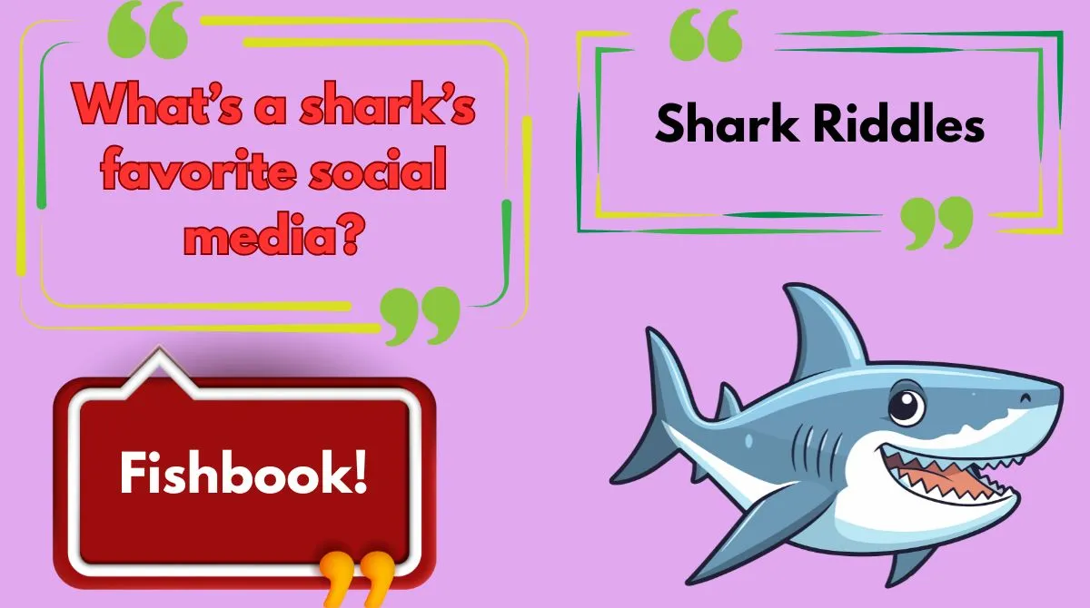 Shark Riddles