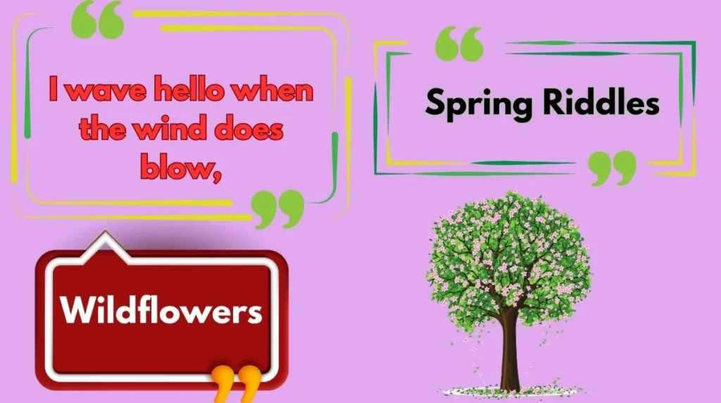 Spring Riddles