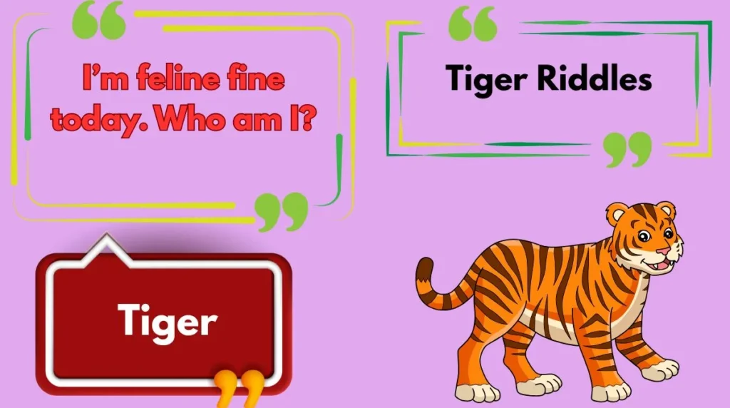 Tiger Riddles