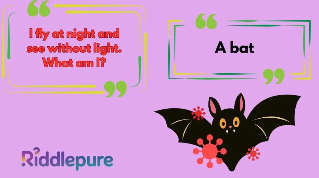 Animal Riddles for Adults