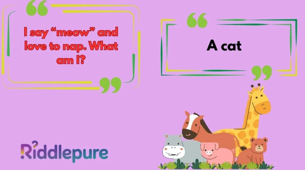 Animal Riddles for Kids