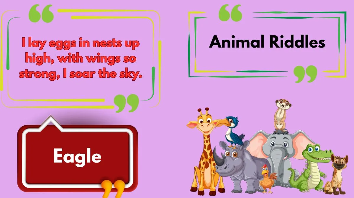 Animal Riddles