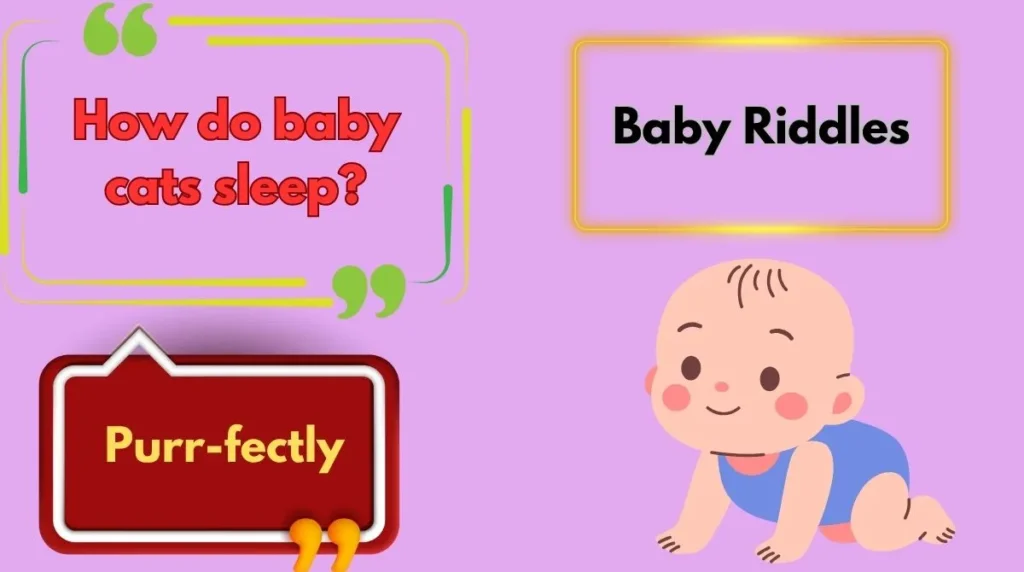 Baby Riddles