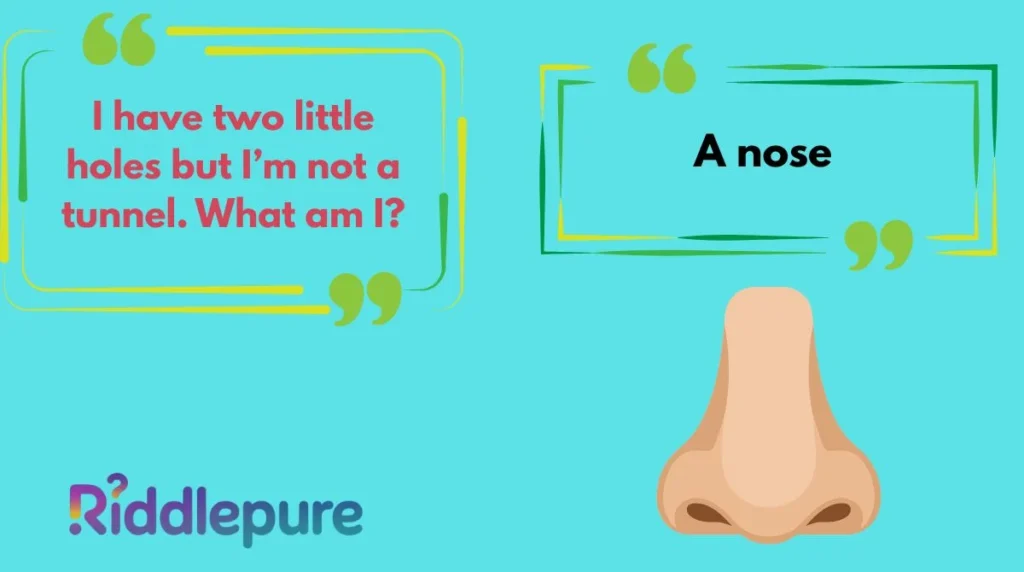 Best Nose Riddles for Kids