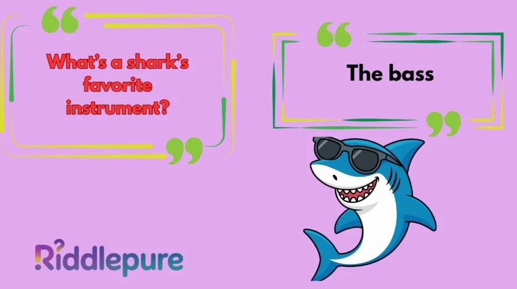 Best Shark Riddles Funny
