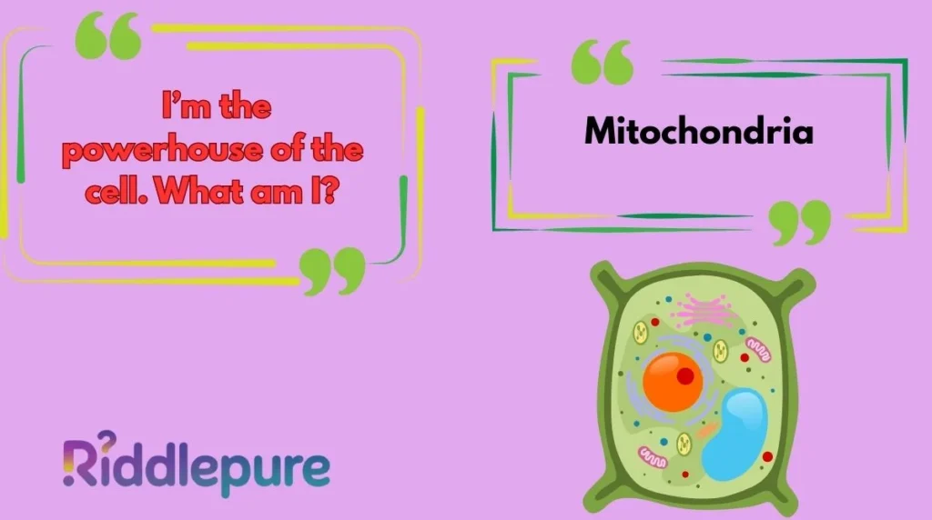 Biology Riddles for Adults