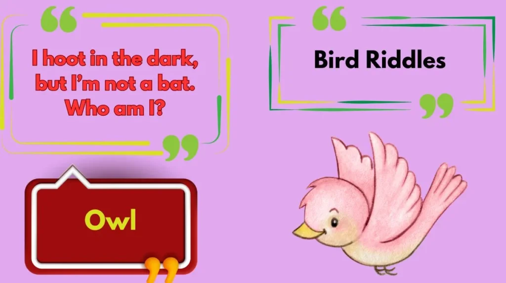 Bird Riddles
