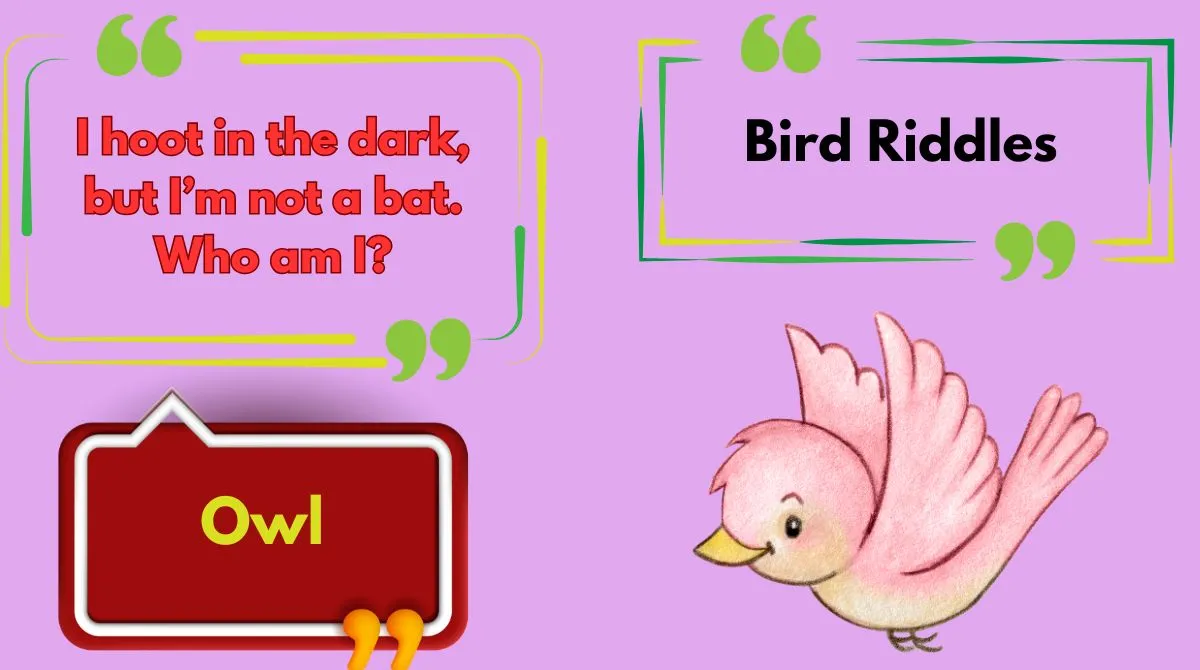 Bird Riddles