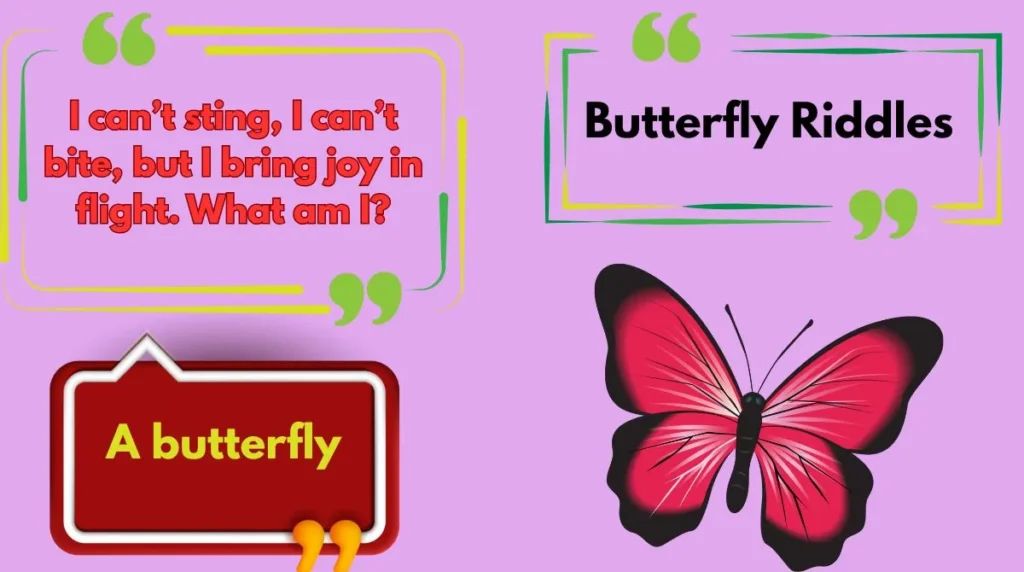 Butterfly Riddles