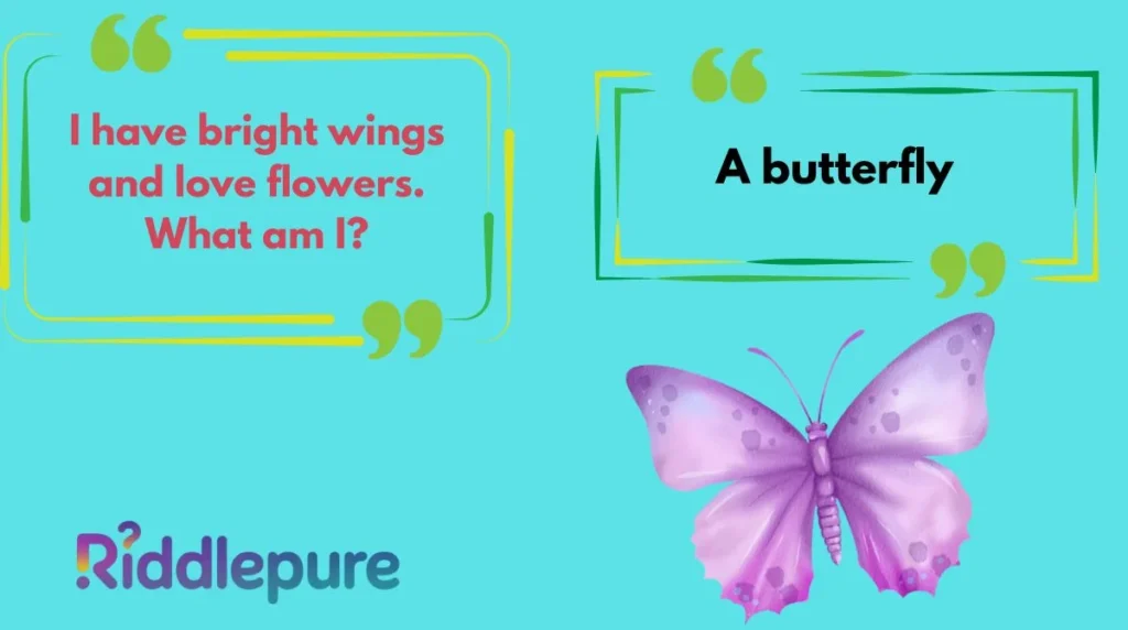 Butterfly Riddles for Kids