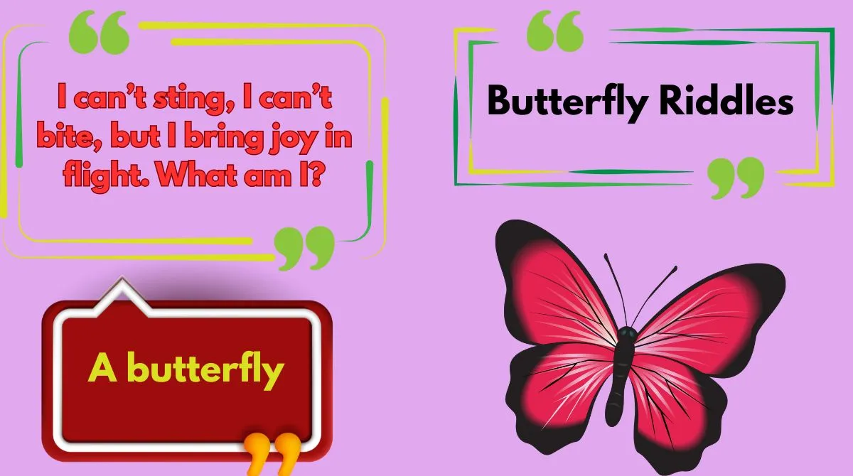 Butterfly Riddles