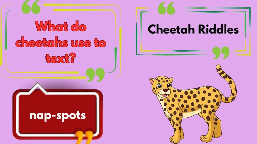 Cheetah Riddles