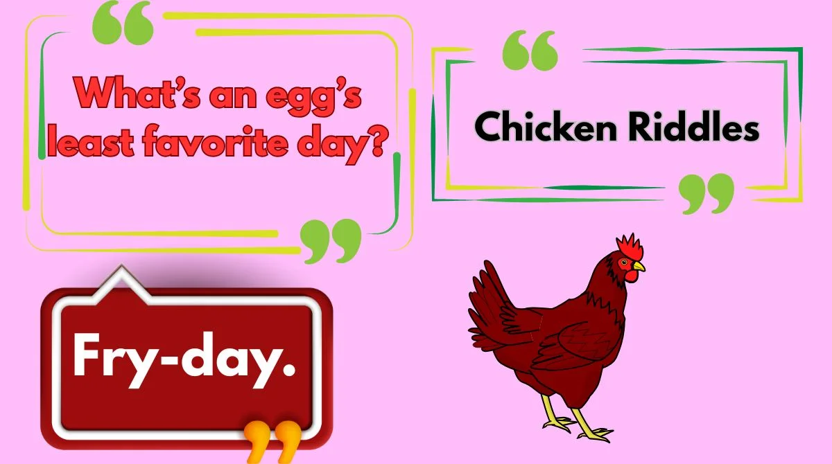 Chicken Riddles