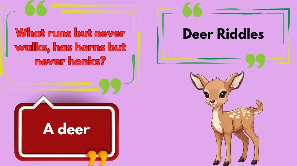 Deer Riddles