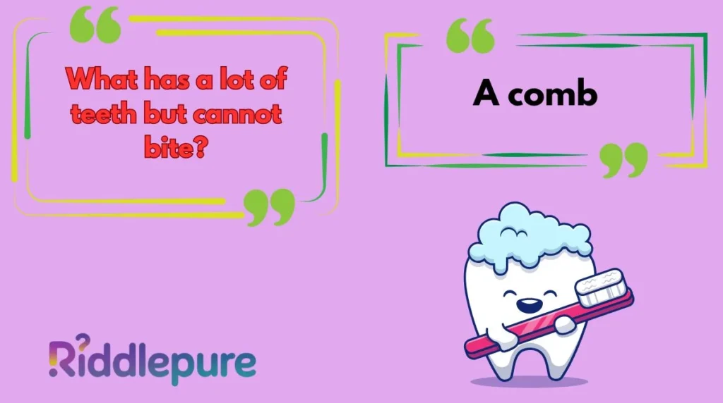 Dental Riddles for Kids