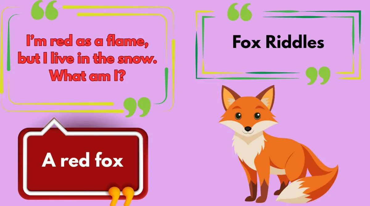 Fox Riddles
