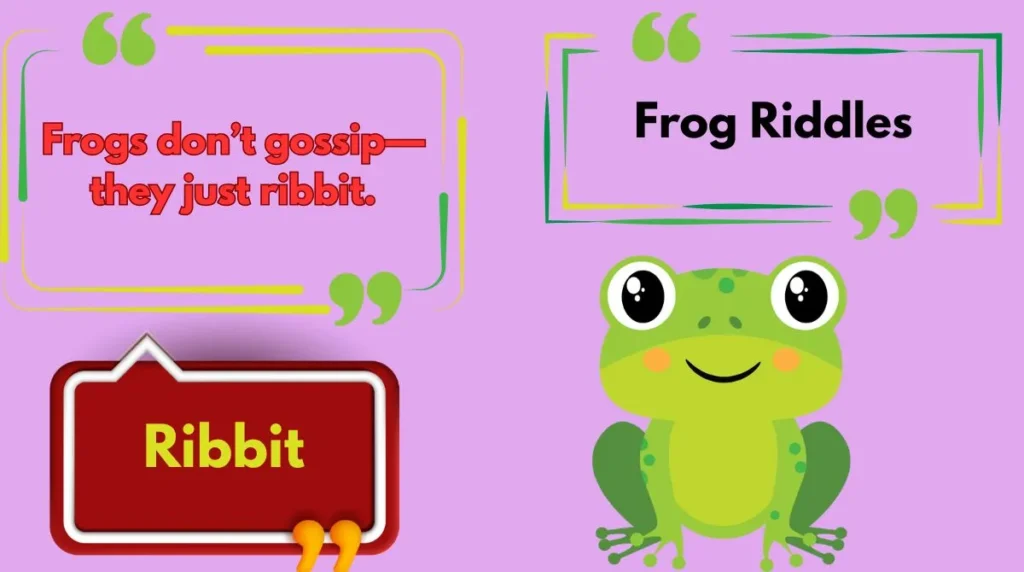 Frog Riddles