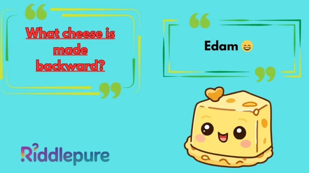 Funny Cheese Riddles