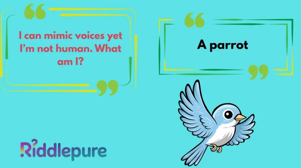 Mind Boggling Bird Riddles for Adults