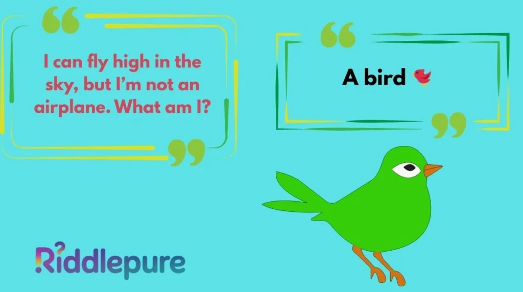 Mind Boggling Bird Riddles for Kids
