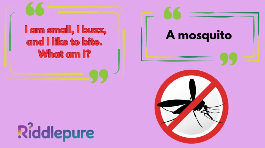 Mosquito Riddles for Kids