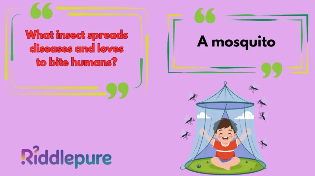Mosquito Riddles with Answers