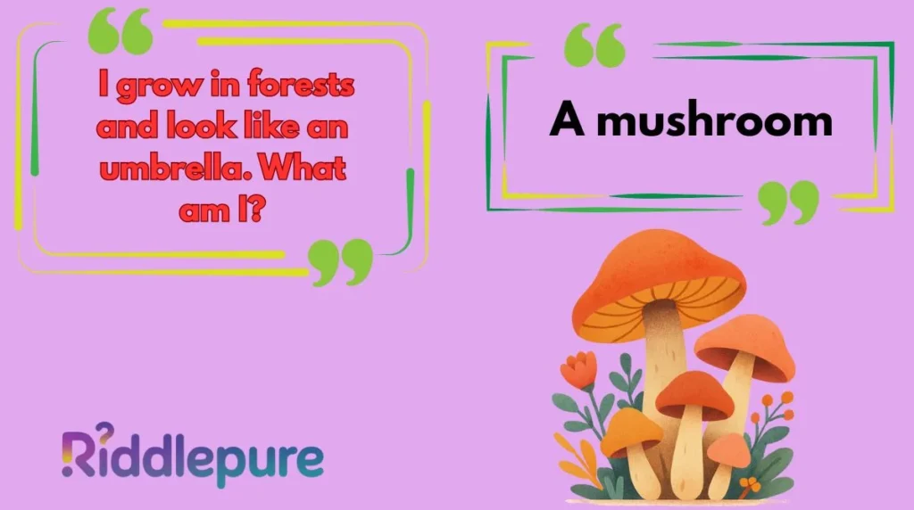 Mushroom Riddles for Kids
