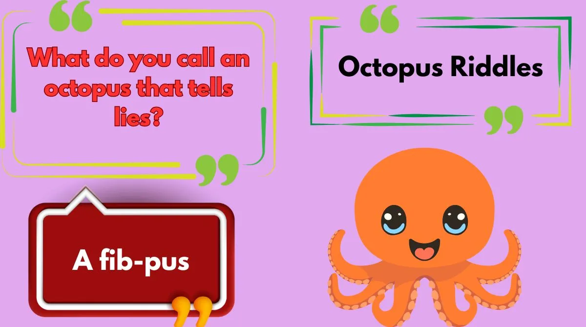 Octopus Riddles