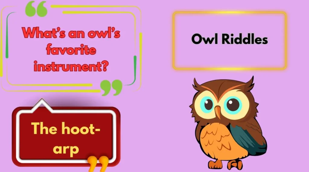 Owl Riddles