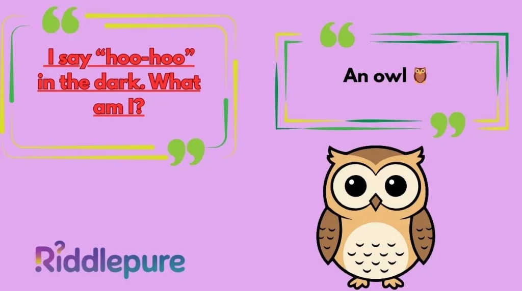 Owl Riddles for Kids