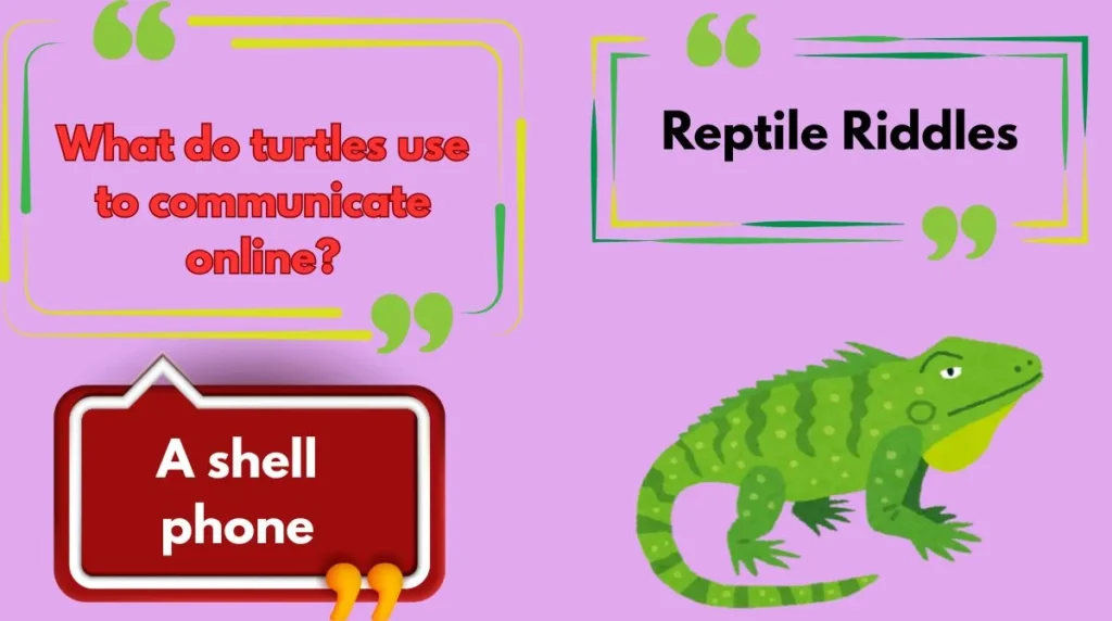 Reptile Riddles