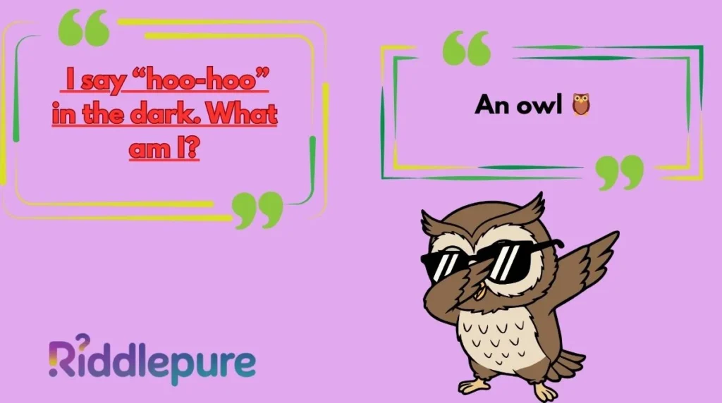 Romantic Owl Riddles for Lovers