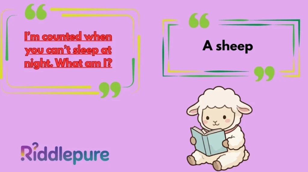 Sheep Riddles for Adults