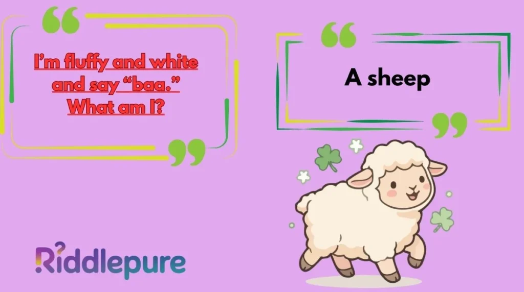 Sheep Riddles for Kids