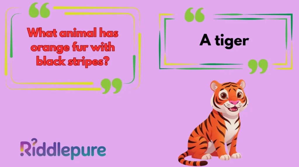Tiger Riddles for Kids