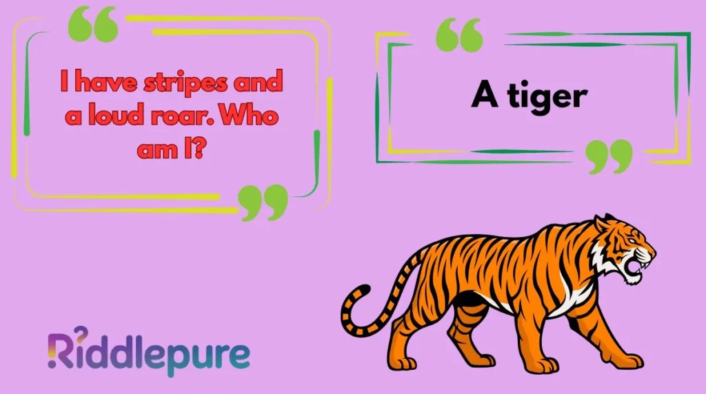 Tiger Riddles with Answers